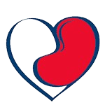 Kidney Dialysis
