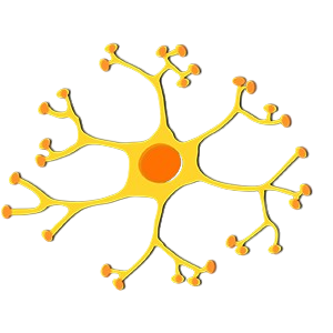 Motor Neurone Disease Motor Neurone Disease
