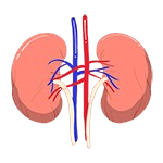 IGA Nephropathy